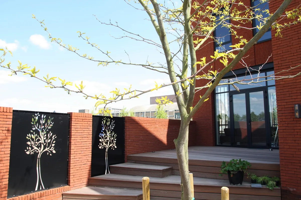 Hoogteverschil tussen stoep en woonkamer en doorlopende tuinmuur voor privacy en uitzicht